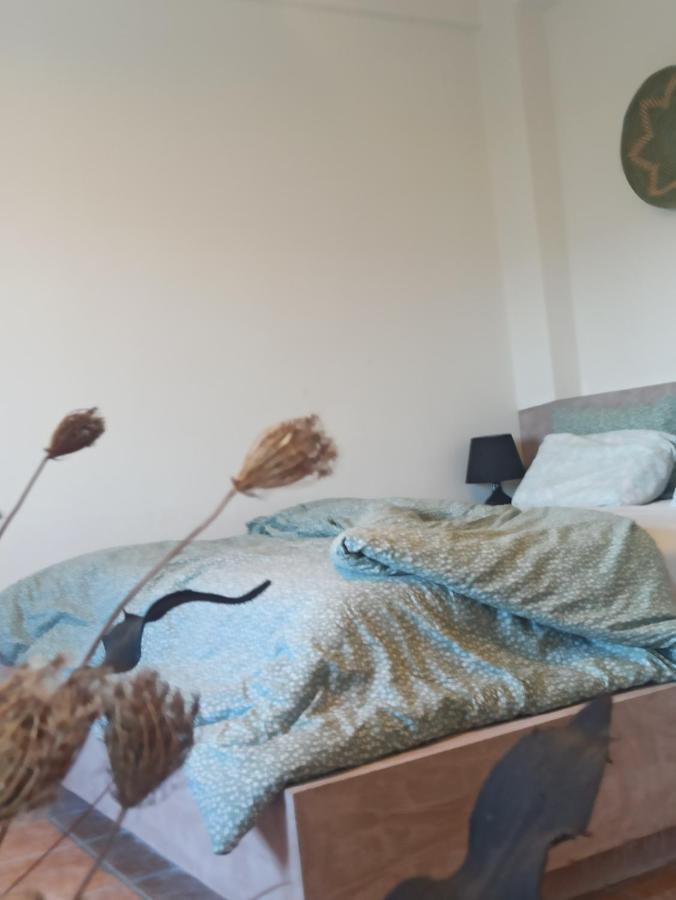 Knots Apartments Agios Nikolaos  Zewnętrze zdjęcie